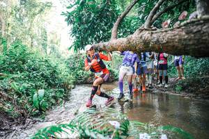 BIB: 
                            <button type="button" onclick="openModal(25474875)" class="btn btn-primary btn-sm float-right btn-popup" data-toggle="modal" data-target=".modal-high-quality">
                        <i class="fas fa-shopping-cart"></i> Add to Cart
                    </button>
                                            <button type="button" onclick="isThisMe(25474875, true)" class="btn btn-success btn-sm float-right btn-popup btn-isme hidden" data-toggle="tooltip" data-placement="bottom" title="นี่คือรูปของคุณใช่ไหม คลิกที่นี่เพื่อเอาเข้าอัลบั้ม">
                        <i class="fas fa-plus"></i> Add to album
                    </button>
                    <button type="button" onclick="isThisMe(25474875, false)" class="btn btn-warning btn-sm float-right btn-popup btn-isnotme hidden">
                        <i class="fas fa-ban"></i> Remove from album
                    </button>